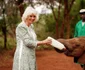 Regina Camilla la orfelinatul de elefanți din Kenya
