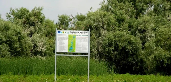 Balta Mică a Brăilei revine la ce a fost odată FOTO Florentin Coman