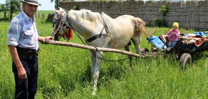 Foto: Arhivă Adevărul