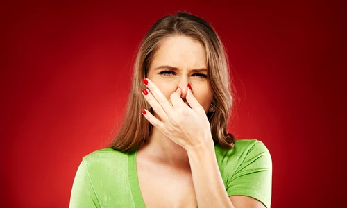 2 shutterstock 358807736 jpg jpeg