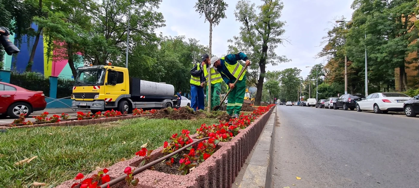 
    Primarul sectorului 6, Ciprian Ciucu, a fost prezent la acțiunea de plantare  
