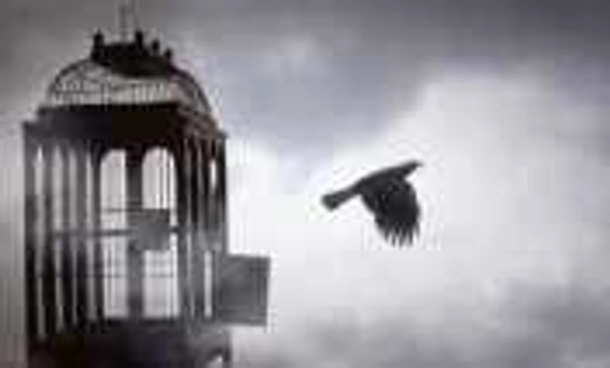 Libertate