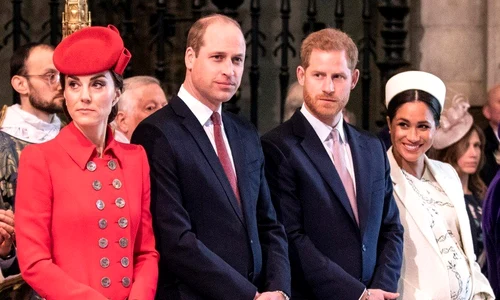 1 profimedia 0418817115 jpg jpeg