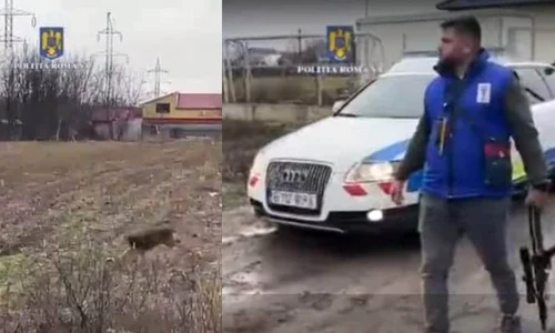 Femeie sfasiata de caini la Galati capturi video jpg