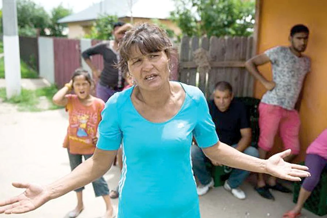 
    Angela Lican fusese  condamnată pentru  că furase 25 de lalele (Captură adevarul.ro)  