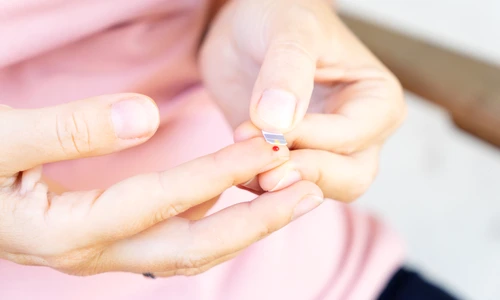 1 shutterstock 1205745268 jpg jpeg