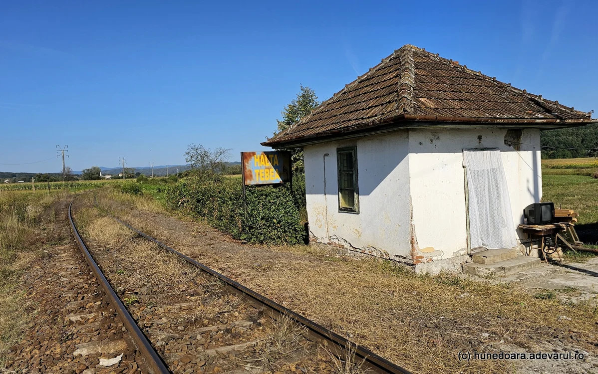 Halta din Țebea. Foto: Daniel Guță. ADEVĂRUL