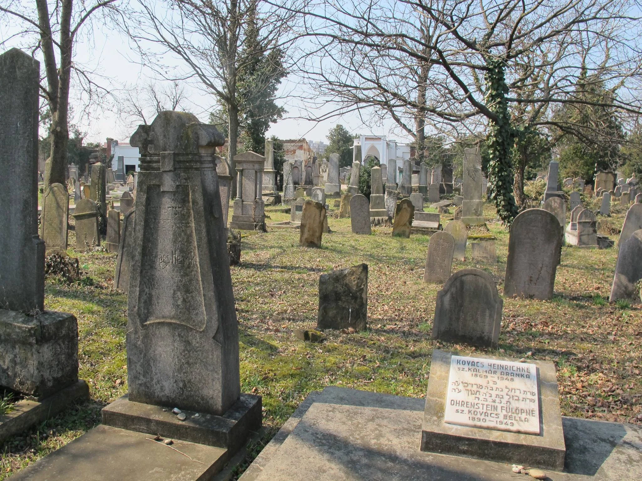 Doi minori, cercetați de procurori după ce au desenat simboluri naziste în Cimitirul Evreiesc din Arad