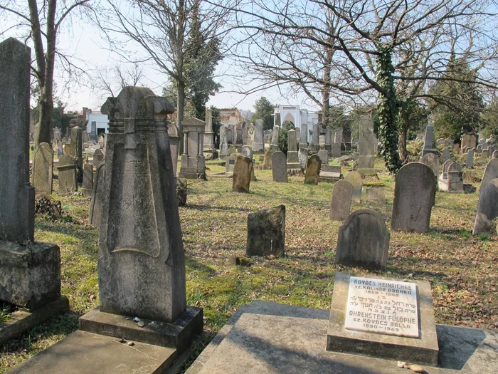 Cimitirul Evreiesc din Arad FOTO Facebook / Jewish Cemetery Project Arad