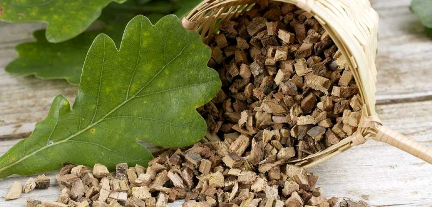 Ceaiul din coajă de stejar este indicat pentru vindecarea inflamaţiilor şi infecţiilor FOTO:doctor-farm.md