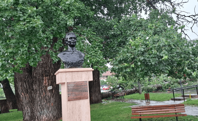 „Plopii cu soț”. Unul dintre copacii care l-au inspirat pe Eminescu s-a prăbușit la Iași din cauza vântului puternic 
