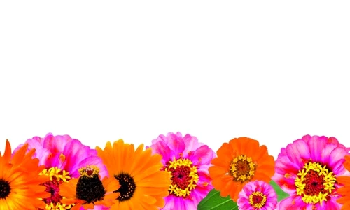 1 46278 original jpg jpeg