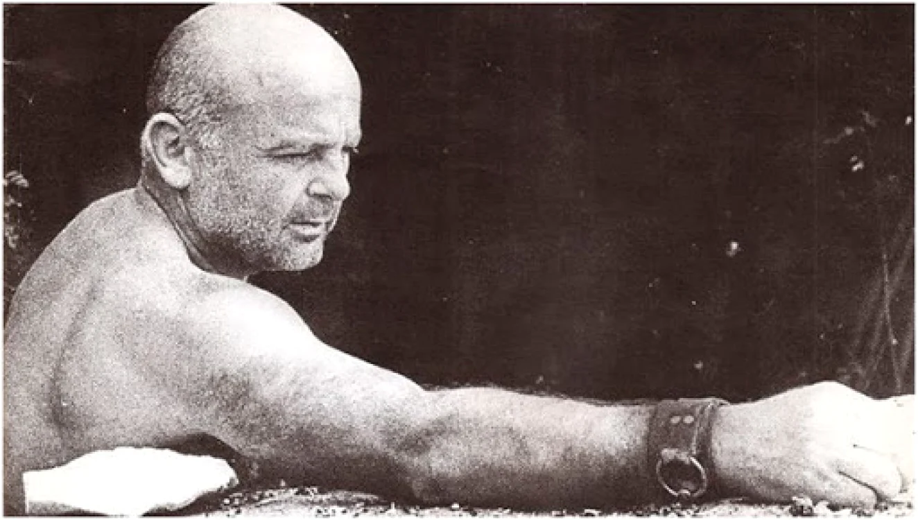 George Apostu