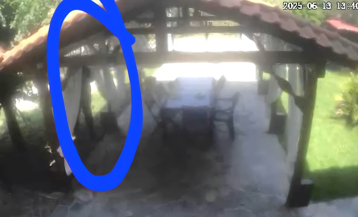 Imaginea blurată cu hoțul FOTO: Arhivă Personală