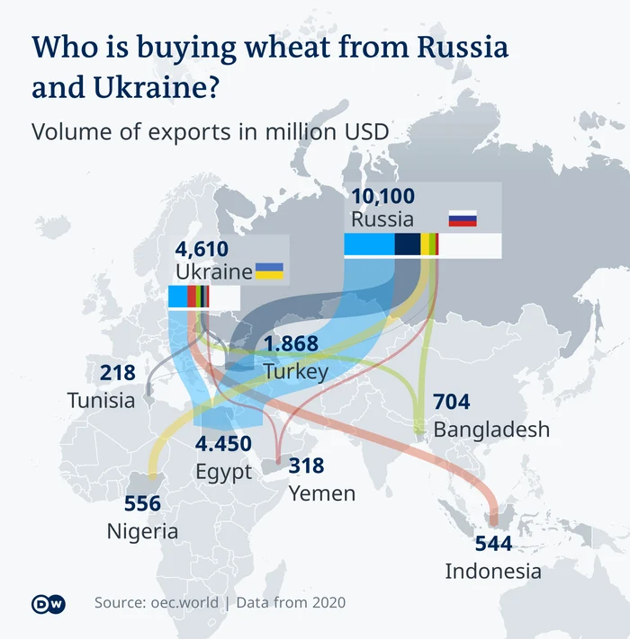 Cine cumpără cereale din Rusia şi Ucraina?
