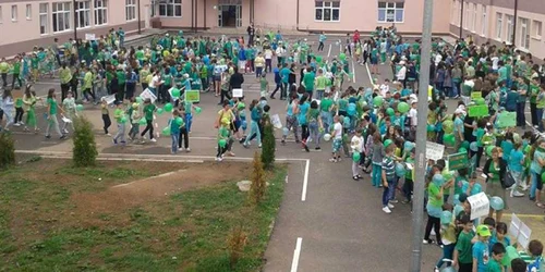 parada verzilor