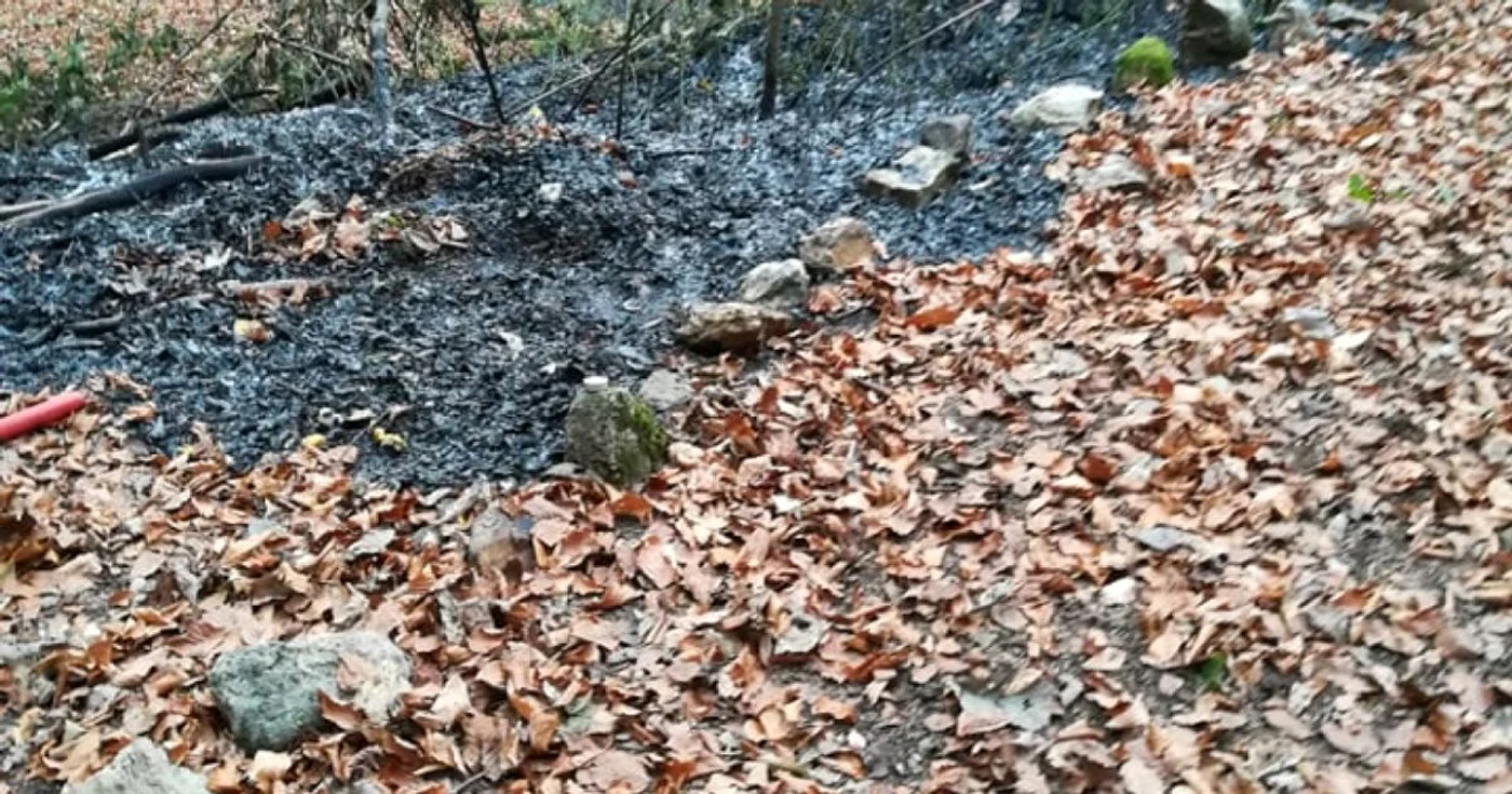 fetele albe mistuita de flacari