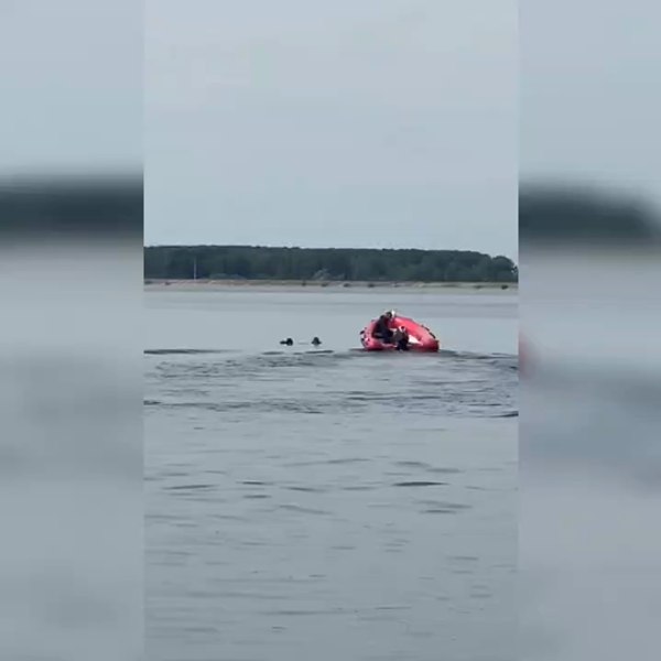 Ultimele clipe ale tânărului fotbalist care s-a înecat în râul Olt: „Bă, duceți-vă că se îneacă. Se îneacă! S-a înecat!” VIDEO