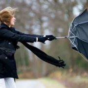 calarasi ploi si vant pana marti foto shutterstock