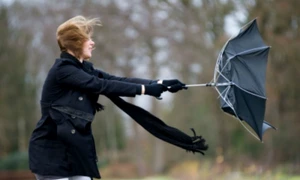 calarasi ploi si vant pana marti foto shutterstock