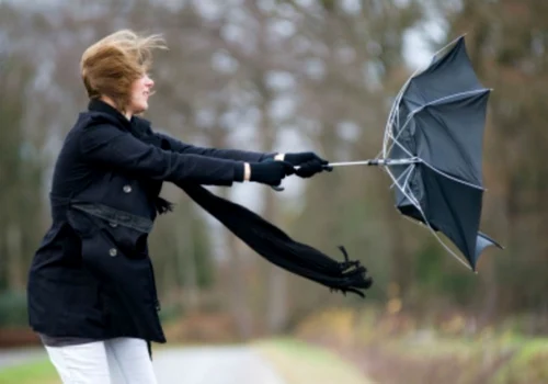 calarasi ploi si vant pana marti foto shutterstock