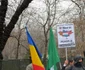 noua dreapta