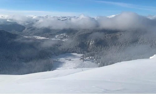 avalansa jpeg