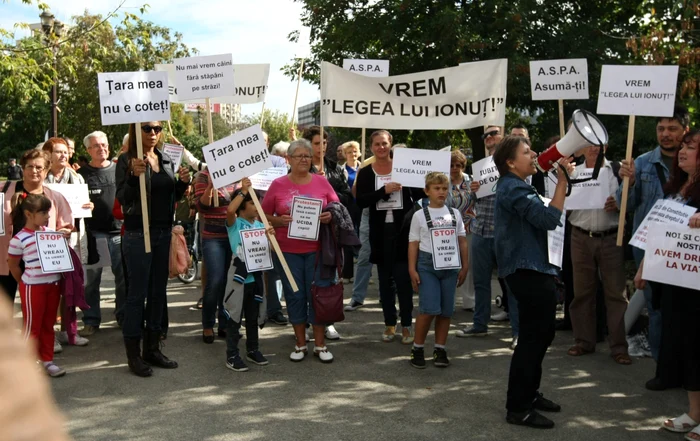 Proteste fata de prezenta cainilor pe strazi FOTO Marian Iliescu