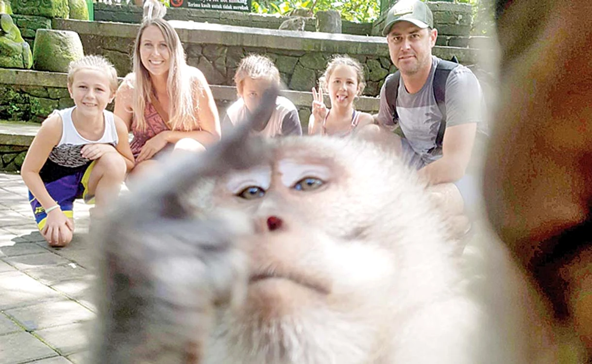 
    Animalul le-a arătat şi un semn obscenFoto: Profimedia  