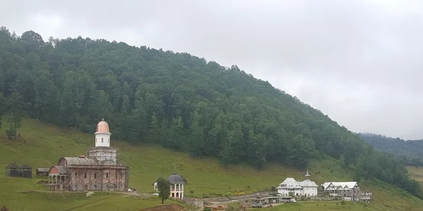 manastirea petrova mm