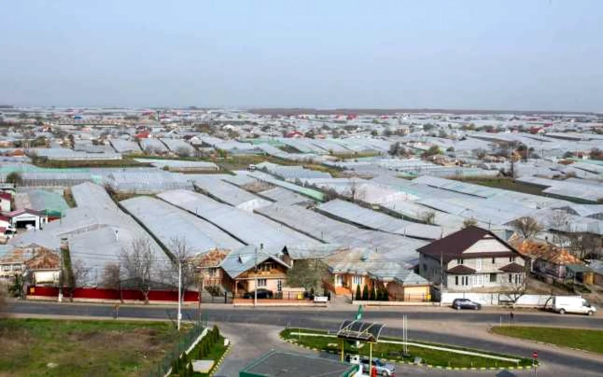 Cea mai mare parte a localităţii Matca este acoperită cu solarii FOTO Costel Crângan