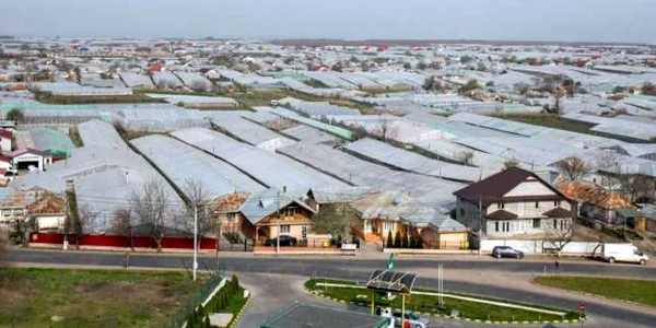 Comuna Matca, cel mai mare bazin legumicol din țară, sursa: Arhivă
