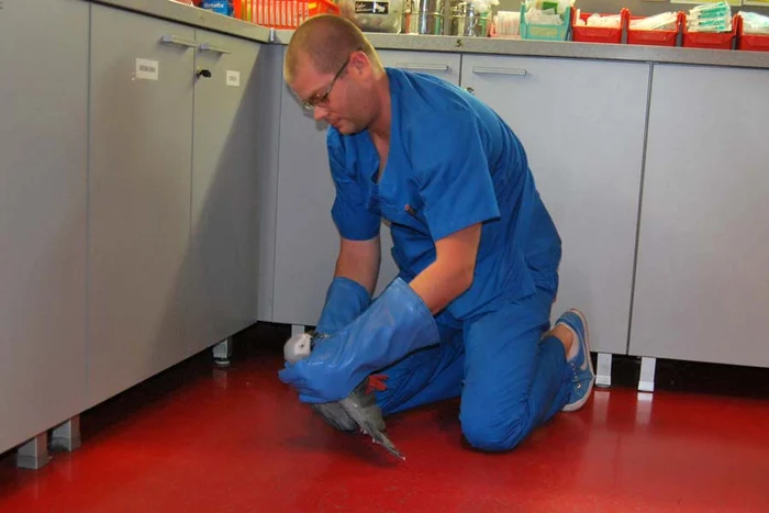 Coco a ţipat şi a muşcat tot timpul consultaţiei