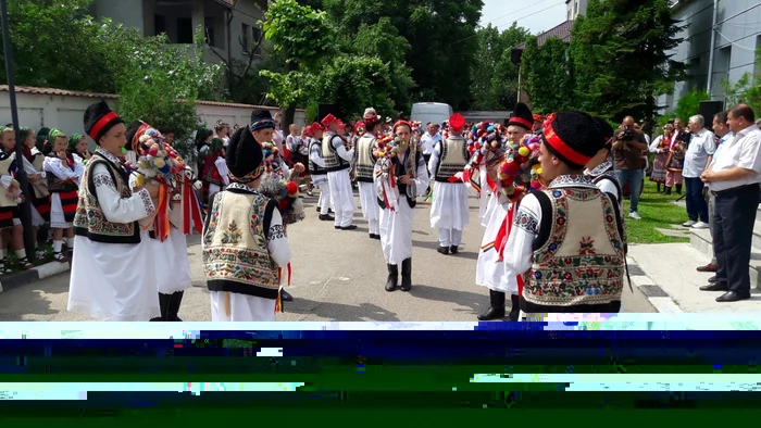 festival de calus slatina