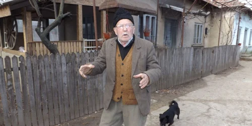 dârvari raiul hoţilor din romania FOTO Corina Macavei 