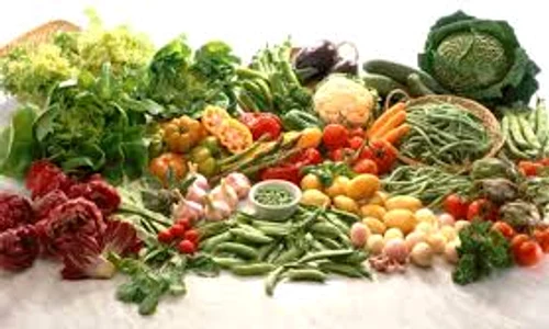 legume images jpeg