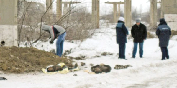 Poliţiştii investighează cauzele morţii celor doi bărbaţi 
