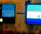 campionat angry birds samsung smart tv