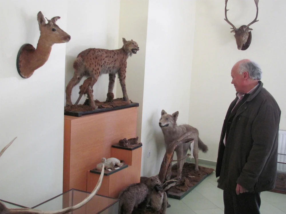 Animale împăiate pe vremea Austro-Ungariei FOTO Ştefan Both