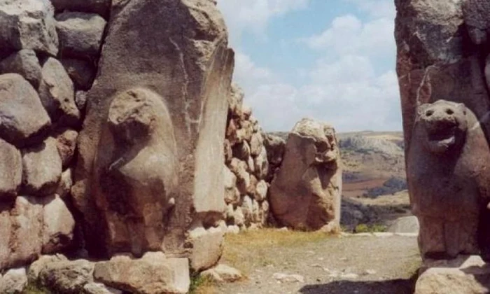 10 lucruri de ştiut despre    Hitiţi jpeg