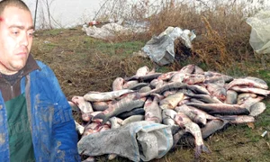 CLIIMA20120106 0123 1 jpeg