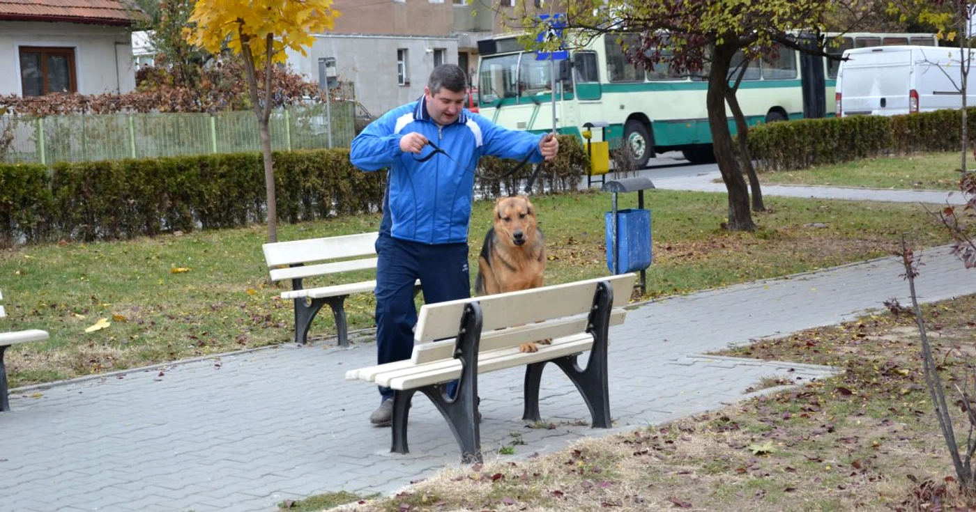 Dan Grădineanu îi învaţă pe câini să fie ascultători