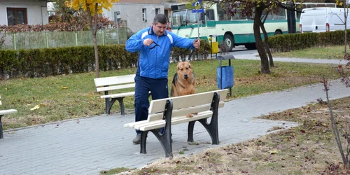 Dan Grădineanu îi învaţă pe câini să fie ascultători