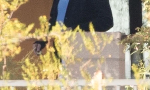 *PREMIUM EXCLUSIVE* First Pictures of Kevin Spacey in Sex Rehab! jpeg