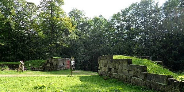 Sarmisegetusa Regia   Zidul cetatii – Gradistea Muntelui, Muntii Sureanu, Hunedoara, Romania 38 JPG