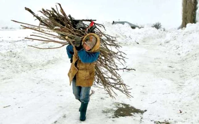 Buzău. Oamenii din satul Cotorga adună surcele pentru foc  Foto: Reuters