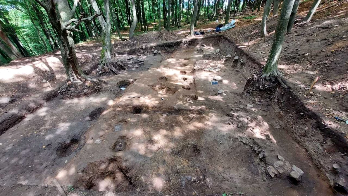 Cetatea dacică de la Tilișca - Dealul Cățănaș (foto: Muzeul Național Brukenthal)