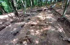 Cetatea dacică de la Tilișca - Dealul Cățănaș (foto: Muzeul Național Brukenthal)