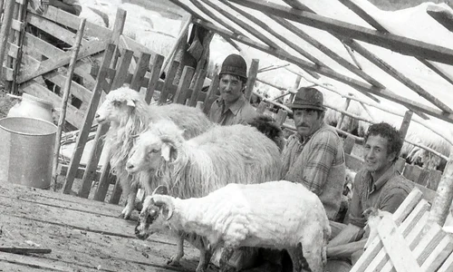 Stână tradițională românească (© Muzeul de Etnografie Brașov)