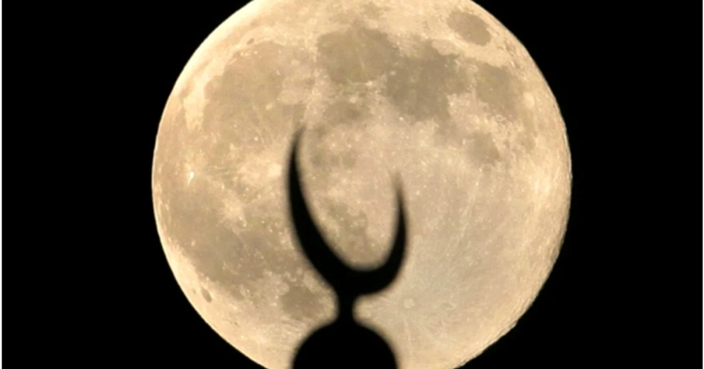 stat islamic 